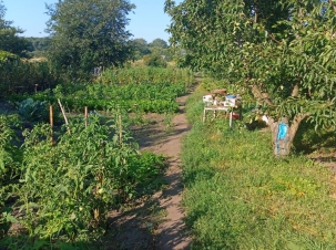 IMG-20230822-WA0050